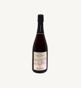Champagne "Saignée de Bisseuil"