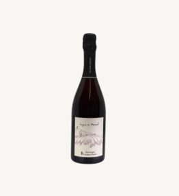 Champagne "Saignée de Mareuil"